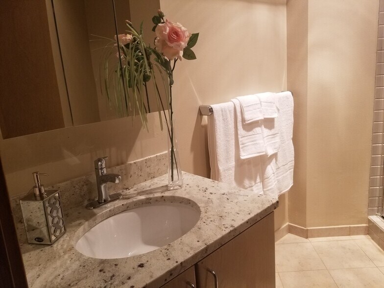 2nd Master bath - 1931 Broadway E