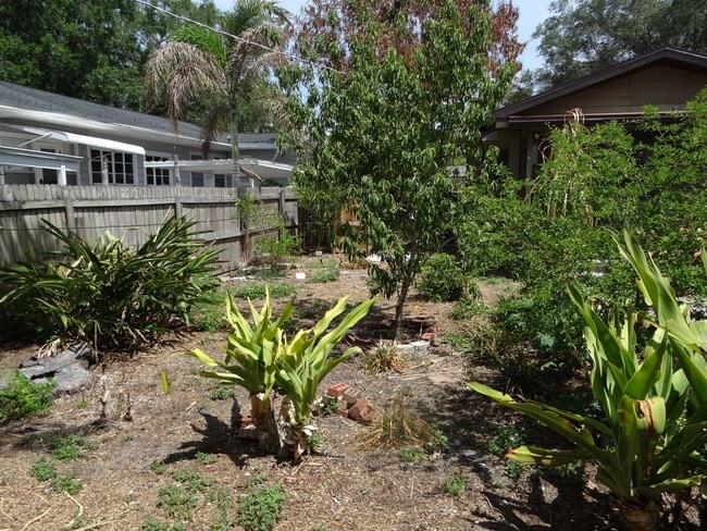 Building Photo - 1 bed / 1 bath rental in Seminole Heights