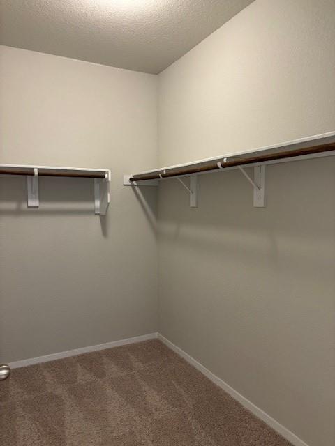 Building Photo - 404 Black Opal Dr