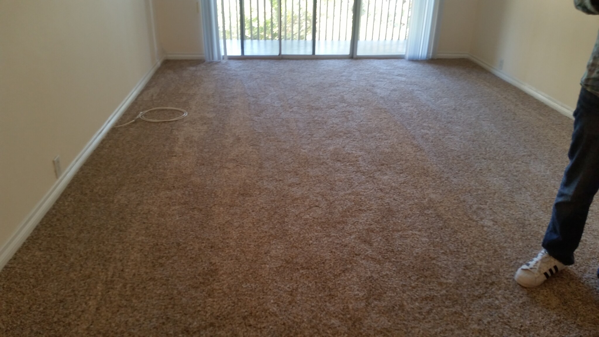 Living Room Carpet - 1775 Diamond St