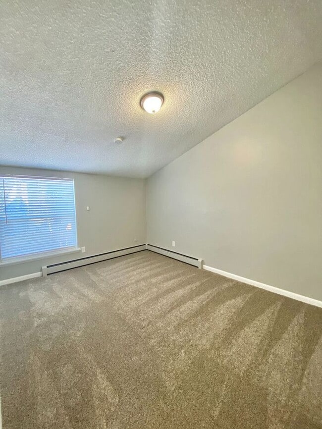 Building Photo - Recently Upgraded 2 Bedroom Apt Near Horsetooth!