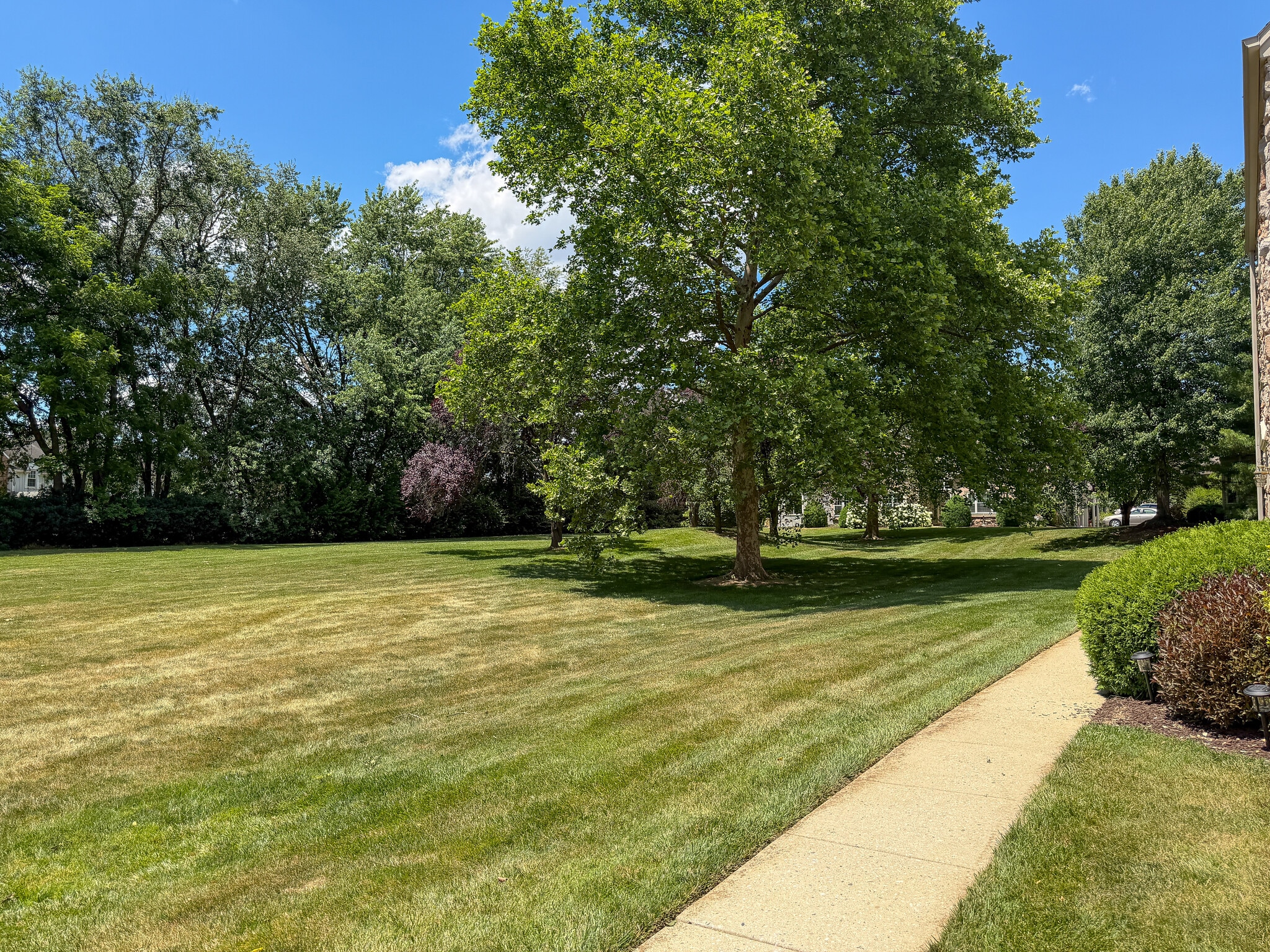 Building Photo - 208 Greenview Dr
