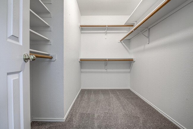 Building Photo - 4300 Companeros Way