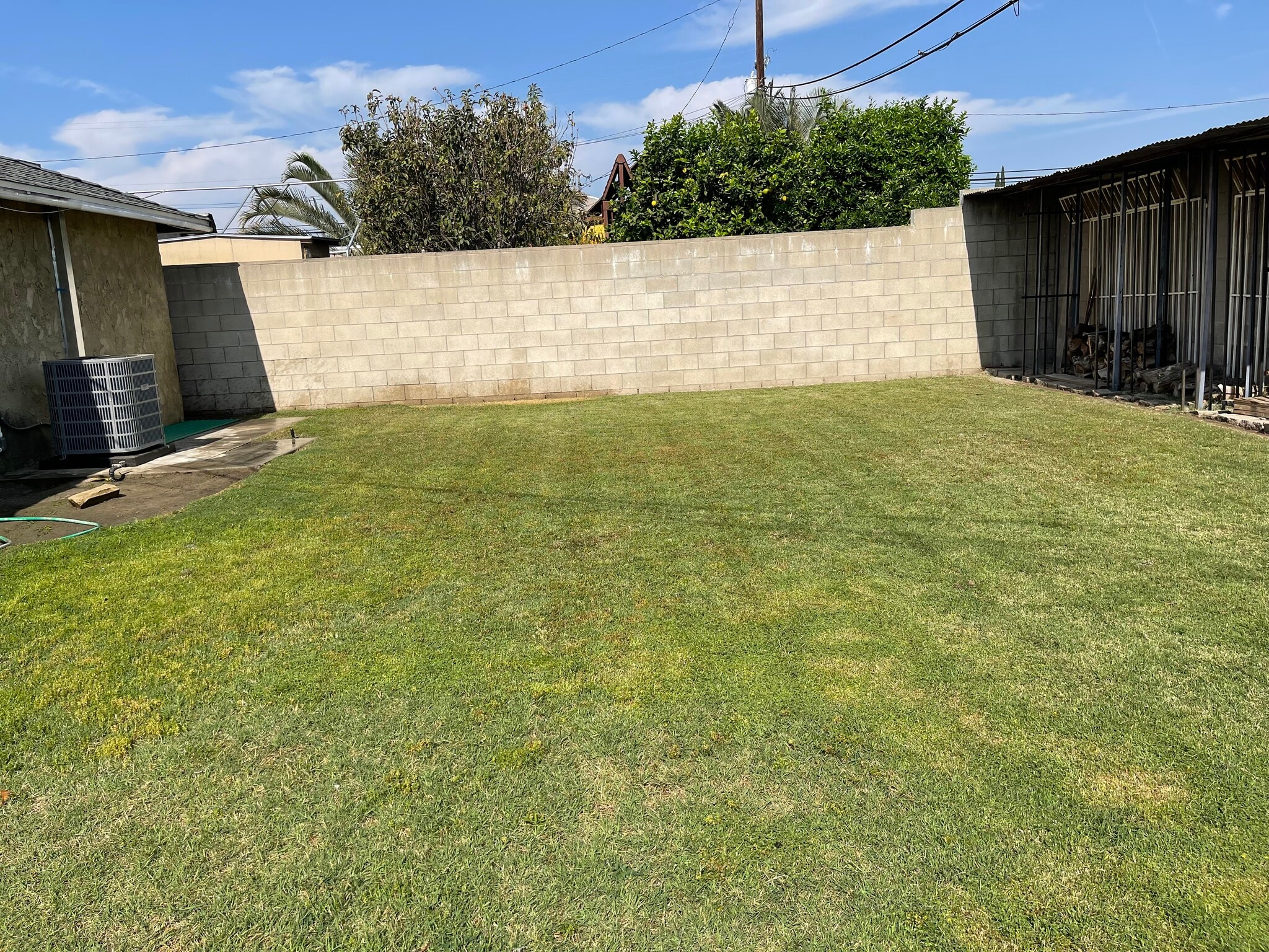 Back Yard - 8717 6th St