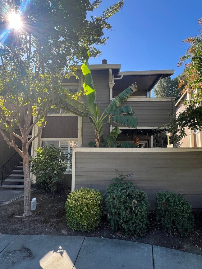 Building Photo - Modern & Renovated 2 Bed | 2 Bath Condo