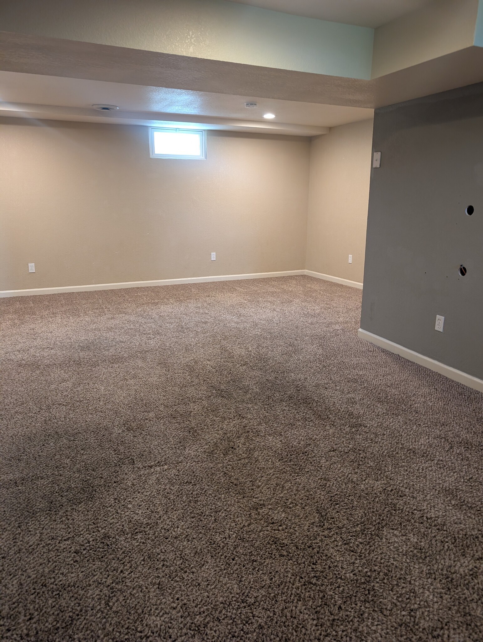 Basement Living Space - 7515 Otis Street