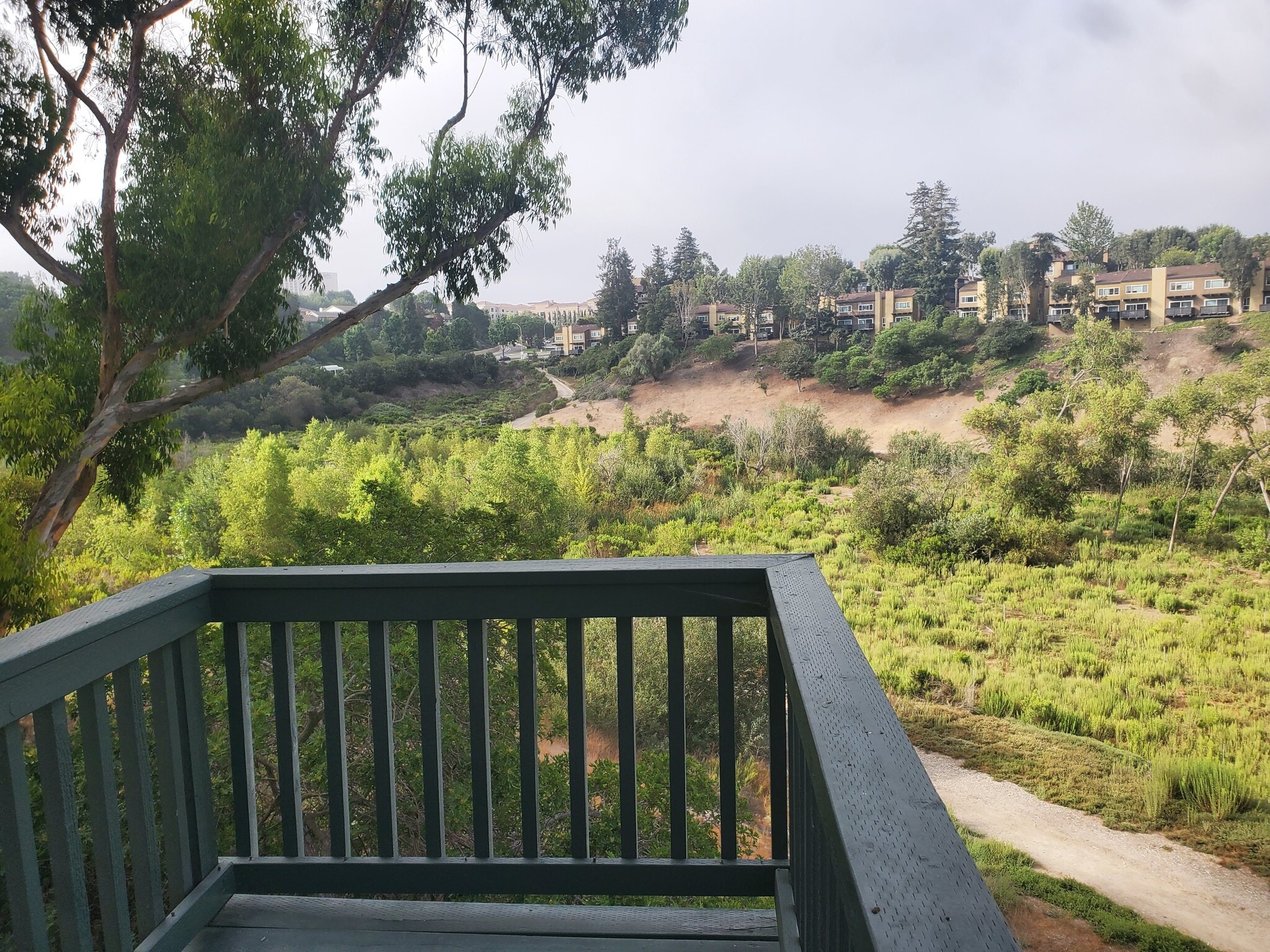 Building Photo - 741 Amigos Way