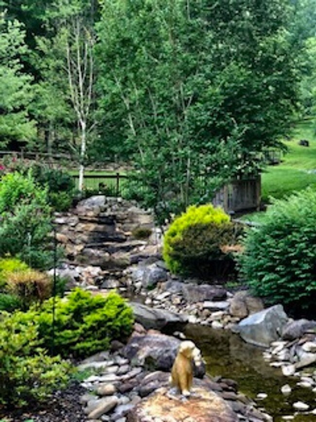 Building Photo - New furnished home on 30 acres available now!