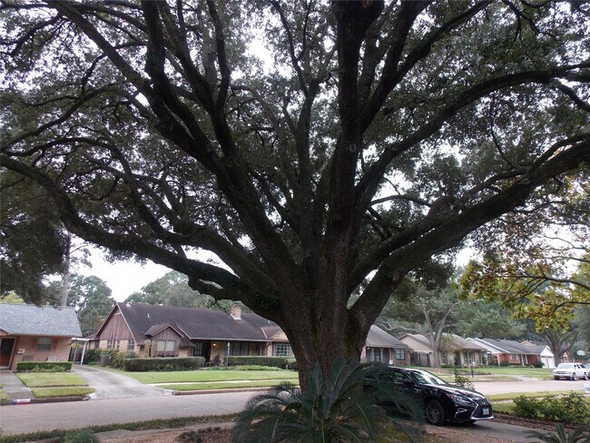 Building Photo - 1070 Curtin St