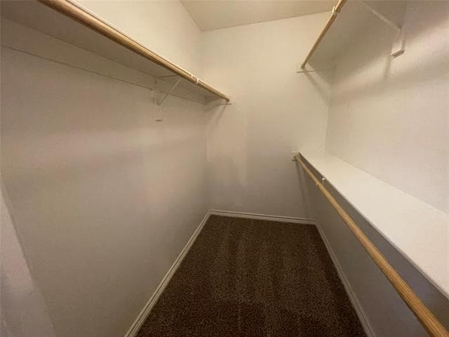 Building Photo - 3829 Branch Way