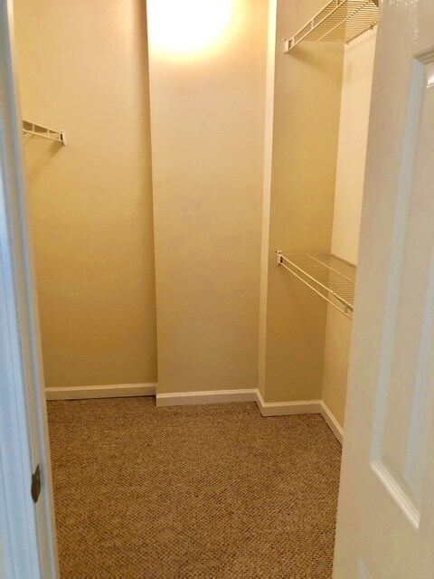 Building Photo - 1146 Northwood Loop