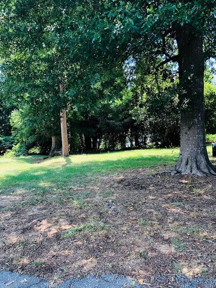 Back Yard - 8897 Asheville Hwy