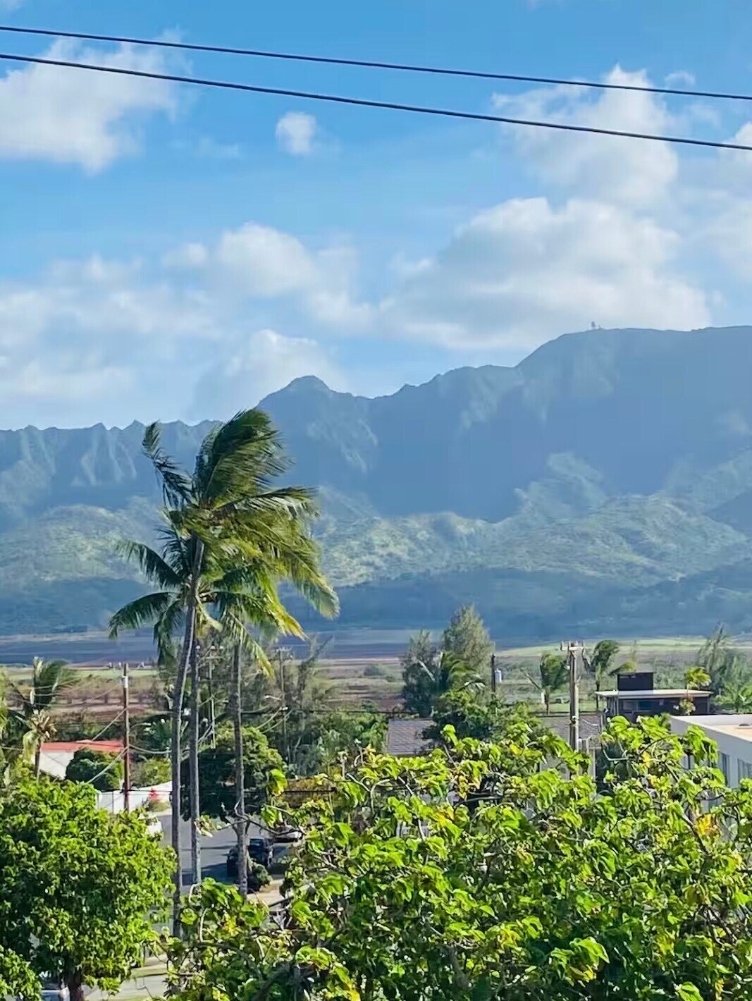 Building Photo - 68-151 Au St