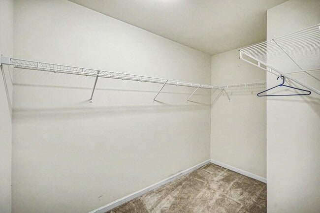 Building Photo - 10405 Bunclody Dr