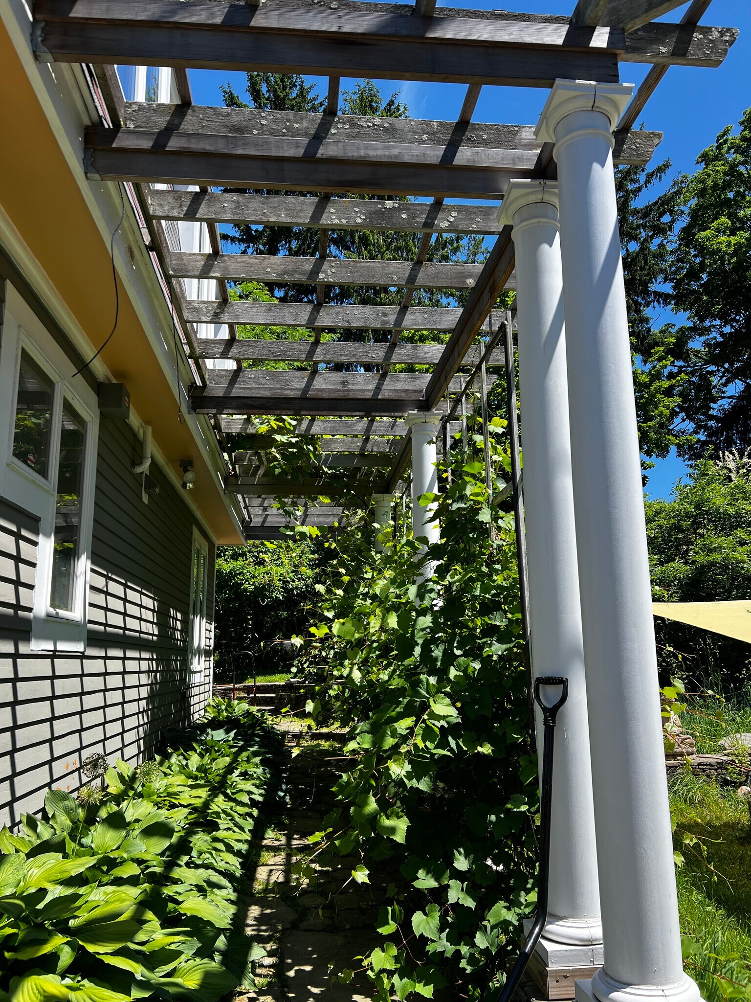 Building Photo - 16 Greenough Ave