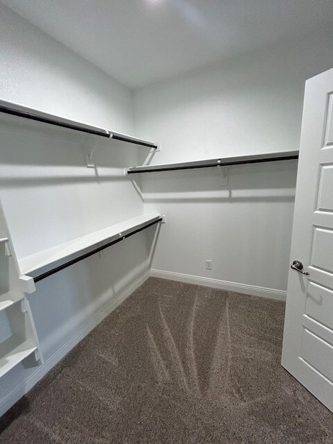 Building Photo - 6010 Silent Rain Dr