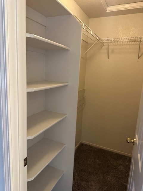 Building Photo - Riverband 4 Bedroom 2.5 Bath Home with Poo...