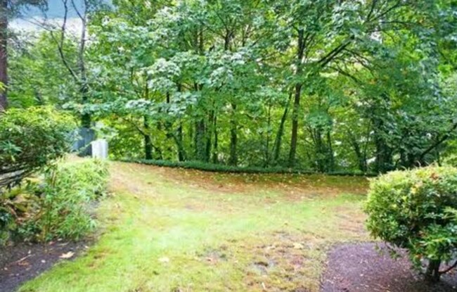 Building Photo - Serene Park-Like Sanctuary | Large Updated Townhome with Wooded Views, 3 bathrooms and 2 large be...