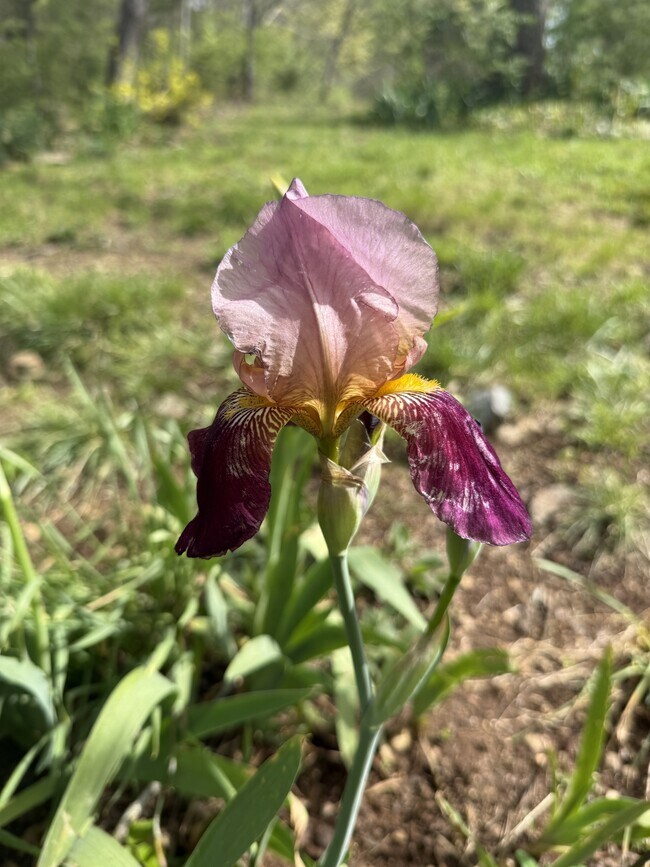 Building Photo - 740 Finn Long Rd