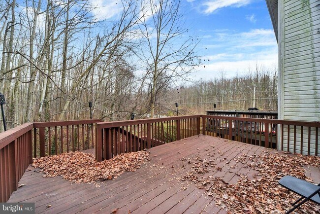 Building Photo - 6 Carob Ct