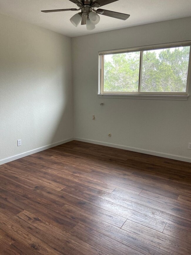 Building Photo - Newly Remodeled