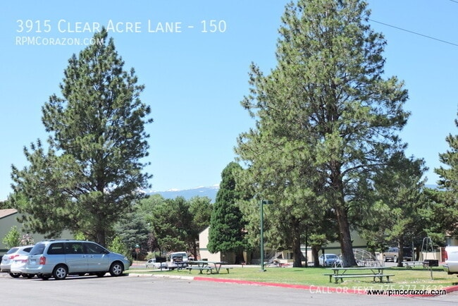 Building Photo - 3915 Clear Acre Ln