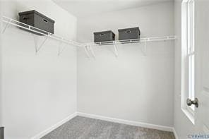 Building Photo - 3812 Puddledock Rd