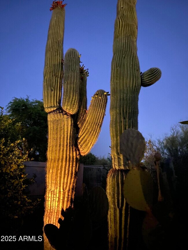 Building Photo - 6867 E Crimson Sky Trail