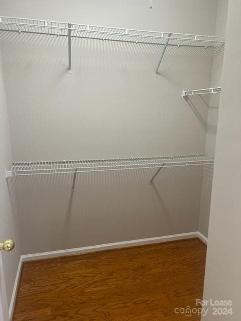 Building Photo - 113 Kase Ct