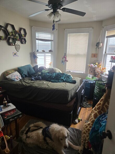 Building Photo - 16 Dighton St