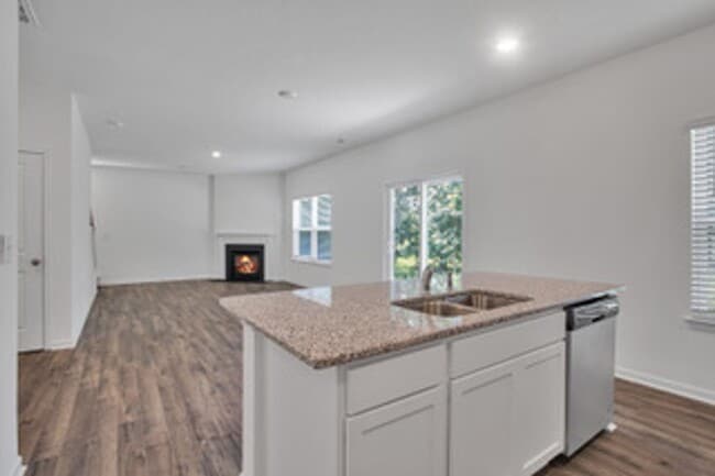 Building Photo - 1025 Curly Top Ln