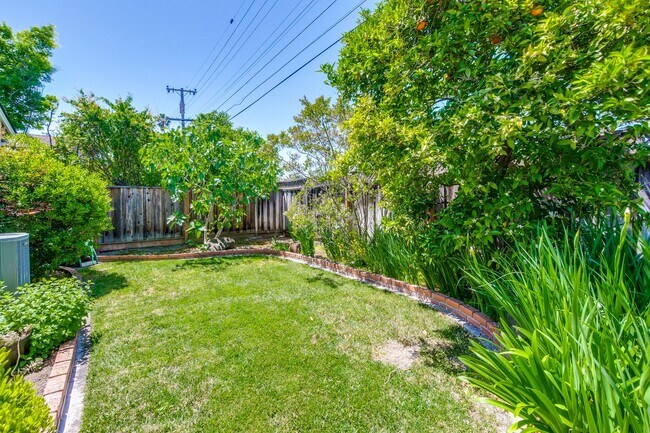 Building Photo - Charming Updated 4 Bedroom Home in Santa Clara with Expansive Backyard and Fruit Trees.