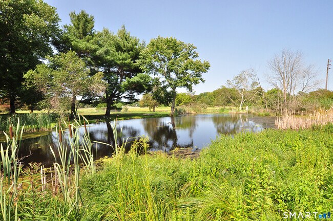 Building Photo - 45 River Colony