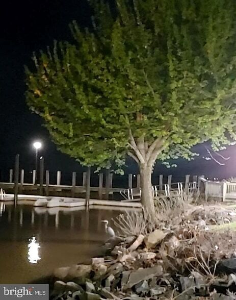 Building Photo - 421 Concord St