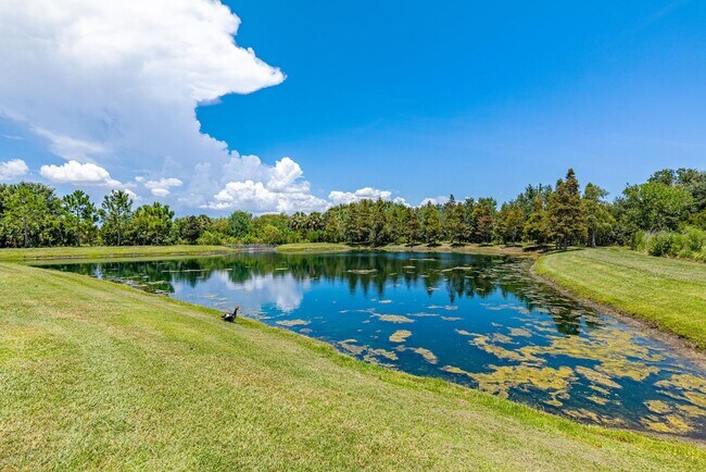 Building Photo - 8933 Indigo Trl Lp