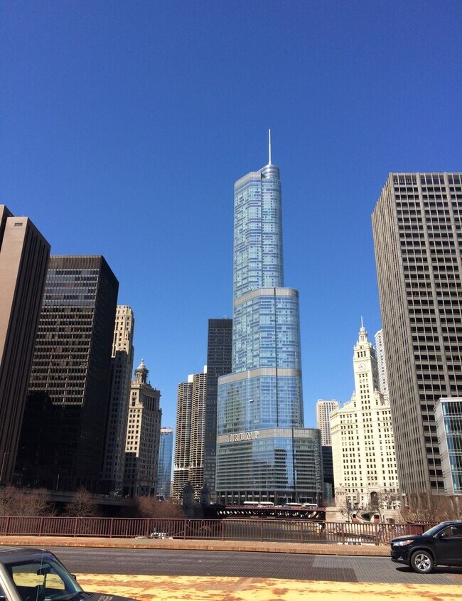 Building Photo - Nice one bedroom in Streeterville