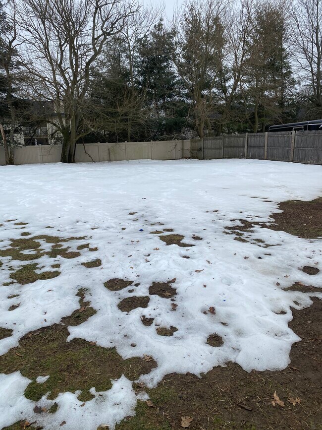 Building Photo - 674 Park Ave