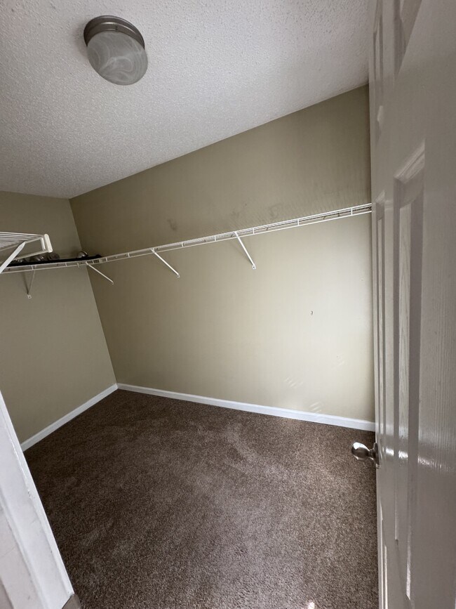 Building Photo - 255 Timber Wolf Trail