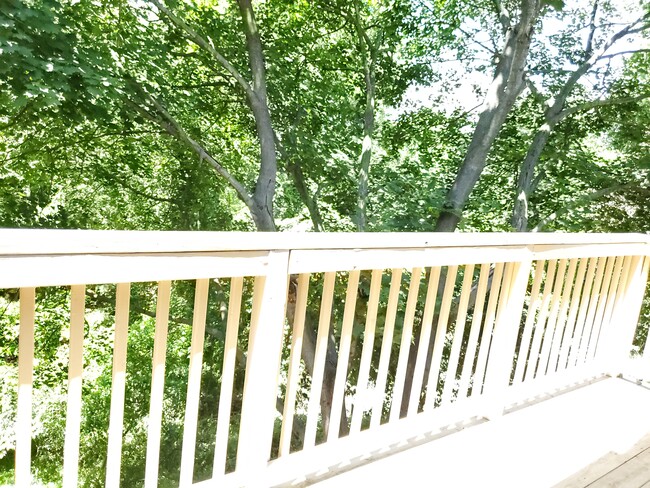 View from the deck - 4708 Dorsey Hall Dr