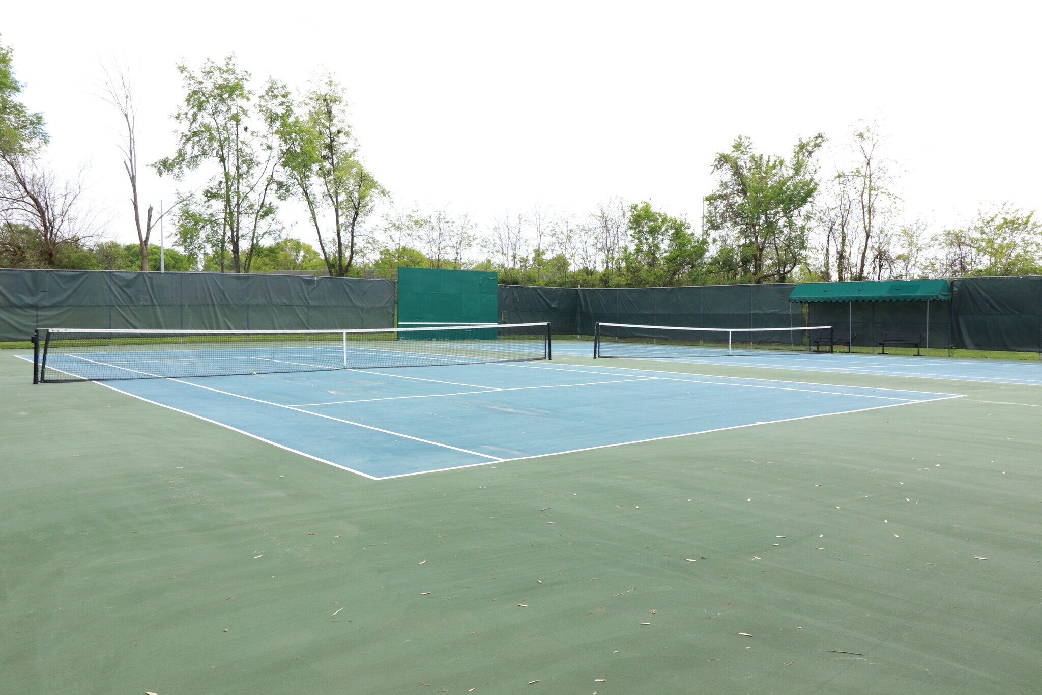 Bridgepointe Amenities - 5304 Wolfpen Woods Dr.