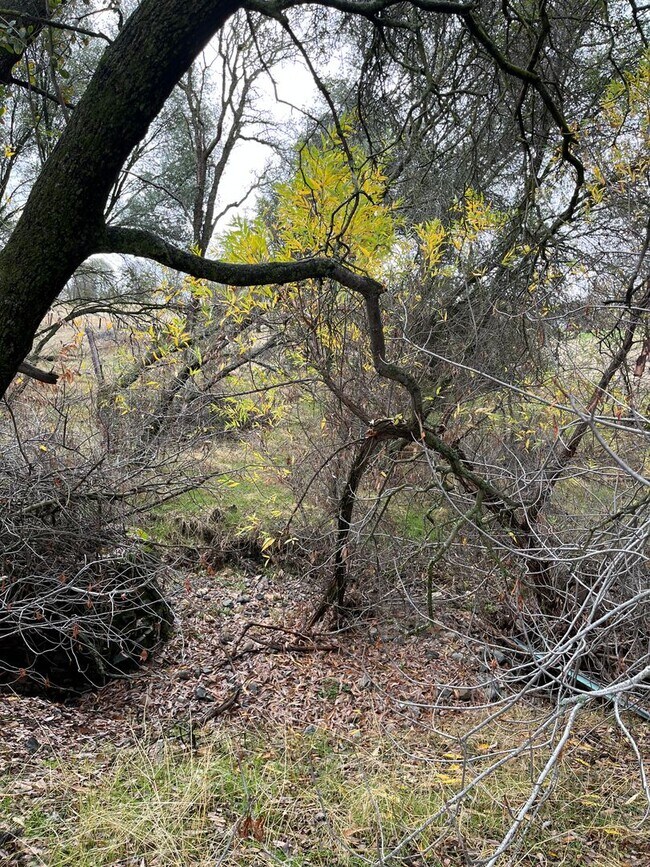 Building Photo - Beautiful Foothil Views Available Now!