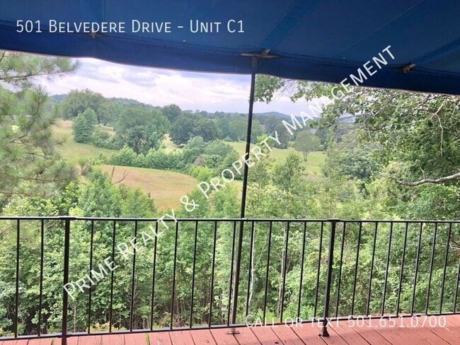 Building Photo - 501 Belvedere Dr