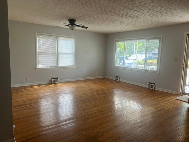 Living room - 111 Franklin Ave