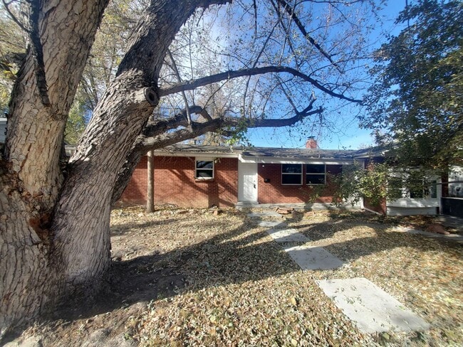 Building Photo - Spacious Ranch Style 4 BR Available in Aug...