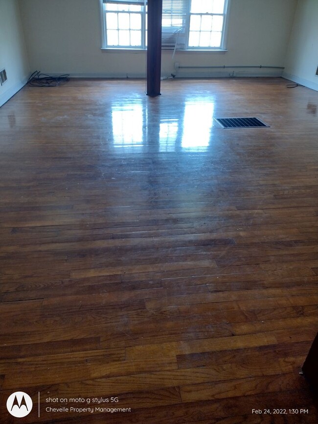 Building Photo - Luce Pine