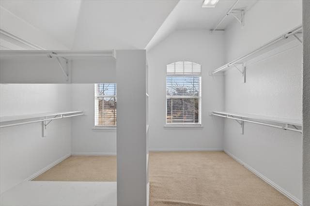 Building Photo - 810 Highland Hills Dr