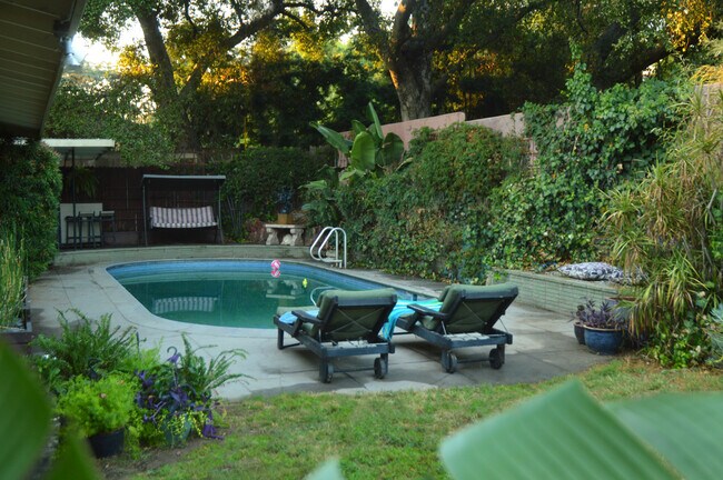 Part of backyard - 607 Buena Loma St