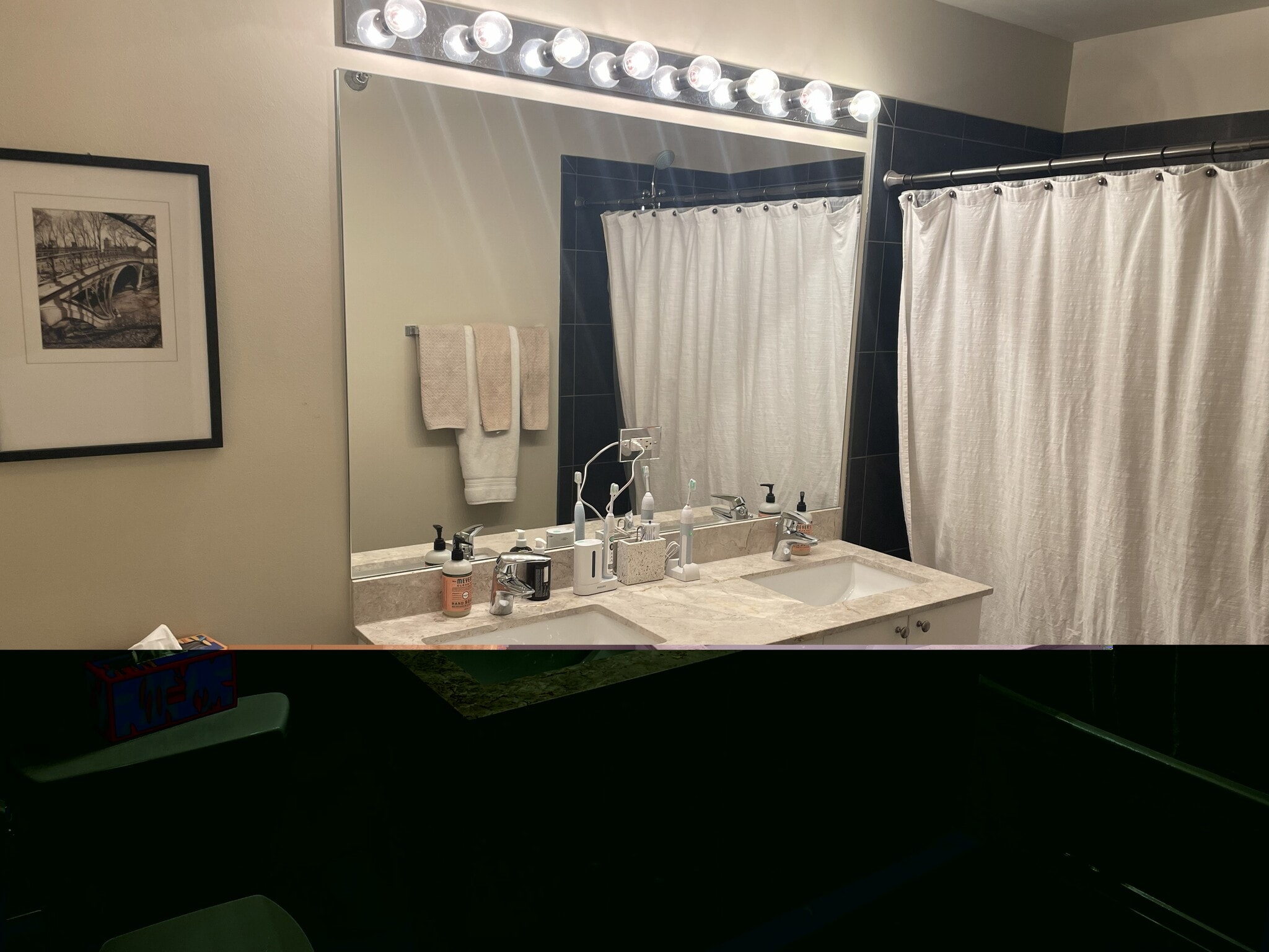 Master Bathroom - 235 W Van Buren St