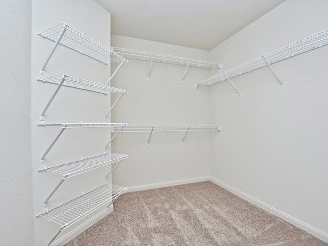 Building Photo - 1794 SF Home in Stonebridge Crossing - 4 B...