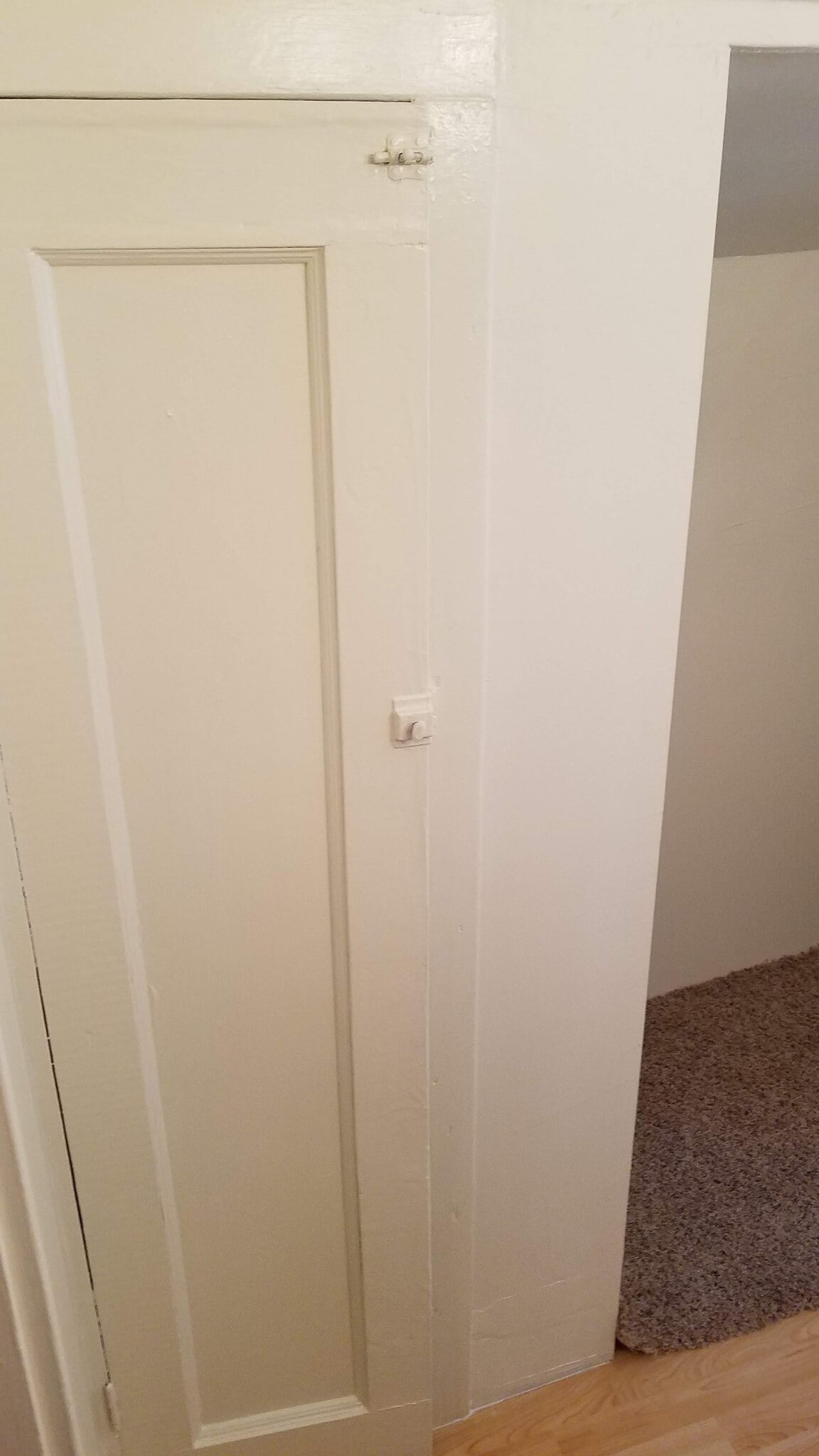 Linen closet in bath 2 - 1937 Meadville St